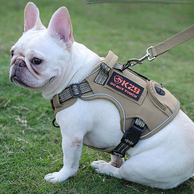PET EQUIPMENT